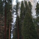Yosemite41