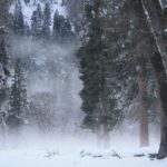 Yosemite43