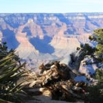 GrandCanyon54