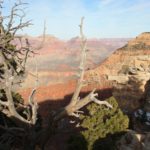 GrandCanyon60