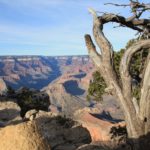 GrandCanyon61