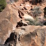 Zion14