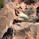 Zion15