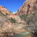 Zion22