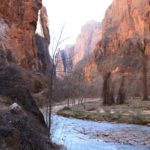 Zion43