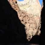 Zion44