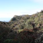 HortonPlains04