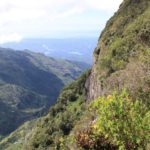 HortonPlains17