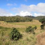 HortonPlains21