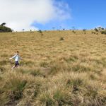 HortonPlains23