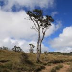 HortonPlains24