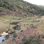 HortonPlains25