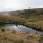 HortonPlains32