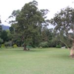 NuwaraEliya02
