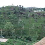 NuwaraEliya12