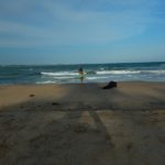Tangalle05