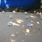 Turtels09