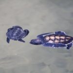Turtels23