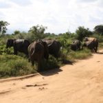 UdawalaweNP17