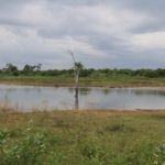 UdawalaweNP67