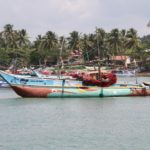 WhaleWatching58