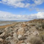 AntelopeIsland13