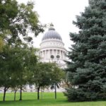 SLC24