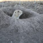 WindCave-26