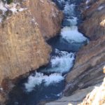 YSNP-159