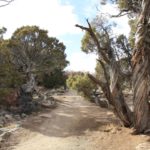 BlackCanyon-28