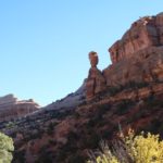 ColoNM-02