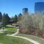 Denver-21