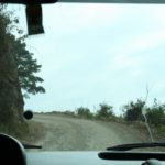 AltV-Peten-04