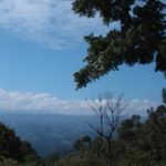 AltV-Peten-08