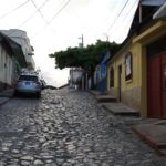 Flores-09