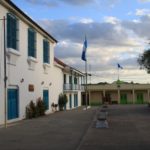 Flores-11
