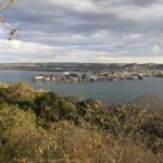 Flores-28