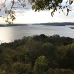 Flores-30