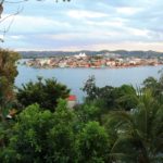 Flores-35