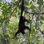 SemucChampey-76