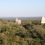Tikal-31
