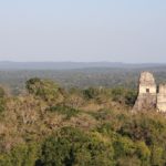 Tikal-32