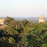 Tikal-49