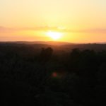 Tikal-52