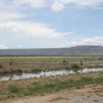 Waterberg-01
