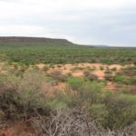 Waterberg-32
