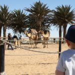 Kamelreiten-04