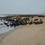 WalvisBay-14