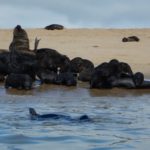 WalvisBay-24