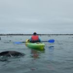 WalvisBay-33